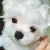 HYさんのプロフィール画像