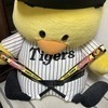徳川秀吉さんのプロフィール画像