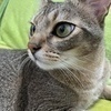 NAKAさんのプロフィール画像