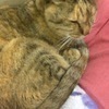 テラダさんのプロフィール画像