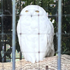 なーさんさんのプロフィール画像