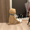 むっかちゃんさんのプロフィール画像