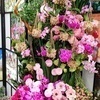 jemimaさんのプロフィール画像