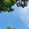 すずさんのプロフィール画像