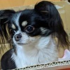 ららさんのプロフィール画像