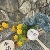 Miki Nさんのプロフィール画像
