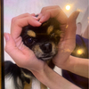 Milyさんのプロフィール画像