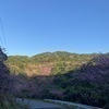 福は外さんのプロフィール画像