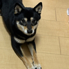 れなさんのプロフィール画像