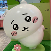 onpuさんのプロフィール画像