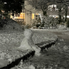 Oriさんのプロフィール画像