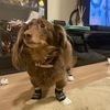 激安!全国不動産情報さんのプロフィール画像
