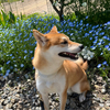 ぽてとさんのプロフィール画像