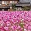 アイさんのプロフィール画像