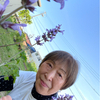 Machiちゃんさんのプロフィール画像