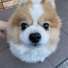 たきさんのプロフィール画像