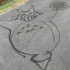 みーさんのプロフィール画像