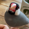めぐ。さんのプロフィール画像