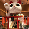 木下さんさんのプロフィール画像
