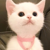 山田 まささんのプロフィール画像