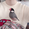 こずえさんのプロフィール画像