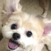 yuka