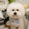 さとみさんのプロフィール画像
