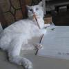 Nozさんのプロフィール画像
