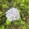 OTさんのプロフィール画像