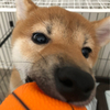 ちーさんのプロフィール画像