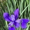 akio1017kaさんのプロフィール画像
