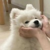 Saitou。さんのプロフィール画像