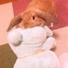 なちさんのプロフィール画像