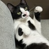 あいさんのプロフィール画像