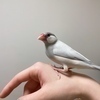 ゅさんのプロフィール画像