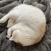 からみたさんのプロフィール画像