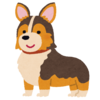 丸ぽちゃ小僧さんのプロフィール画像