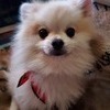 ひーさんのプロフィール画像