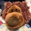ぎゃんさんのプロフィール画像