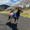 1234タロー君さんのプロフィール画像