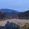 W部　辰巳さんのプロフィール画像