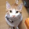 ヒロさんのプロフィール画像