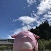 sonomi Oさんのプロフィール画像