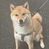 ユウさんのプロフィール画像