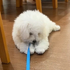 みいさんのプロフィール画像