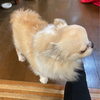 タケちゃんさんのプロフィール画像