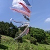 モンブランさんのプロフィール画像