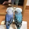 ぴーぼーさんのプロフィール画像
