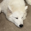 raoさんのプロフィール画像