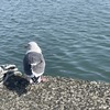 RyKeyさんのプロフィール画像